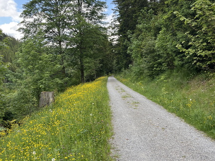 22-05-29 14-37-36 0982